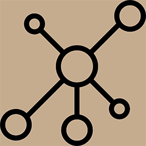 network-icon